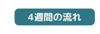 4週間の流れ